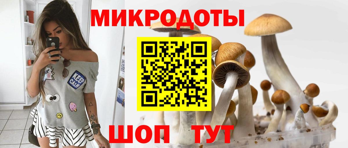 Галлюциногенные грибы прущие грибы Зеленодольск