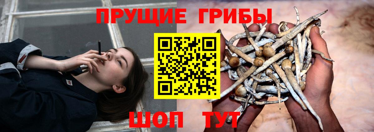 Зеленодольск  Галлюциногенные грибы прущие грибы  Вход с VPN 
