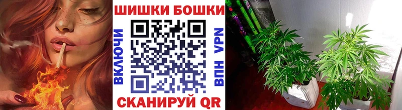 Конопля MAZAR  где продают   Зеленодольск 